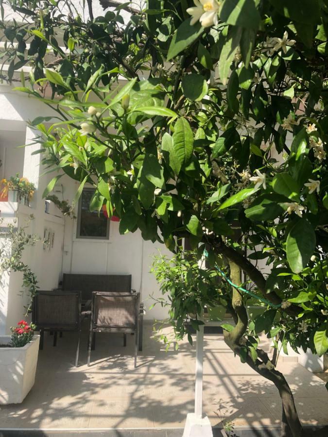 Apartments Mia Patria Ulcinj Bagian luar foto